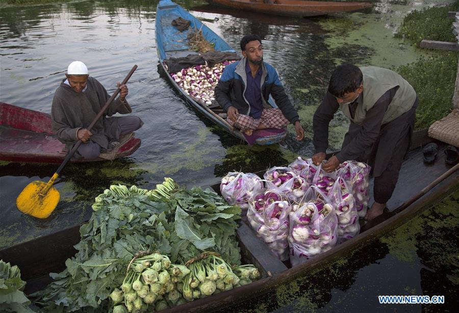 KASHMIR-SRINAGAR-FLOATING VEGETABLE MARKET