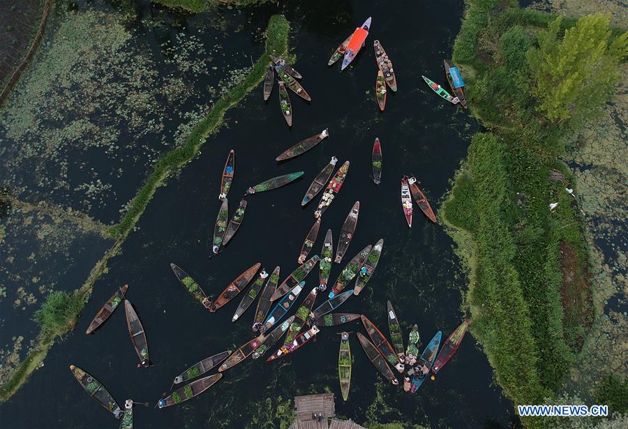 KASHMIR-SRINAGAR-FLOATING VEGETABLE MARKET