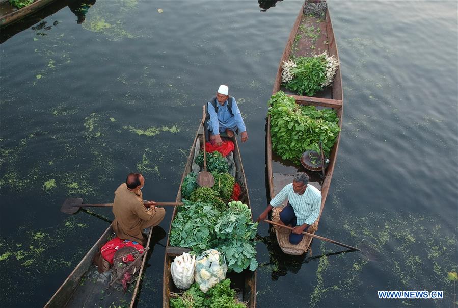 KASHMIR-SRINAGAR-FLOATING VEGETABLE MARKET