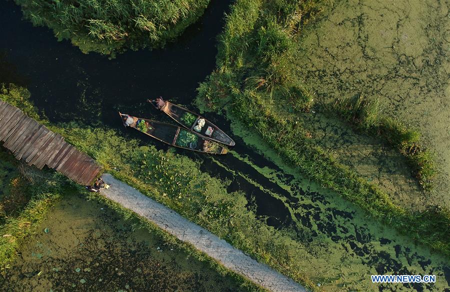 KASHMIR-SRINAGAR-FLOATING VEGETABLE MARKET