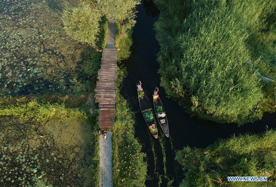 KASHMIR-SRINAGAR-FLOATING VEGETABLE MARKET