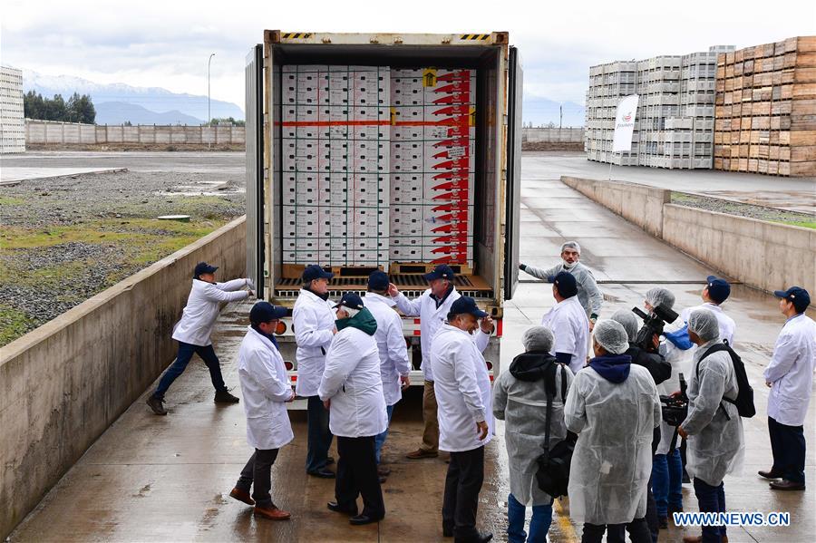 CHILE-SAN FERNANDO-PEAR EXPORTATION