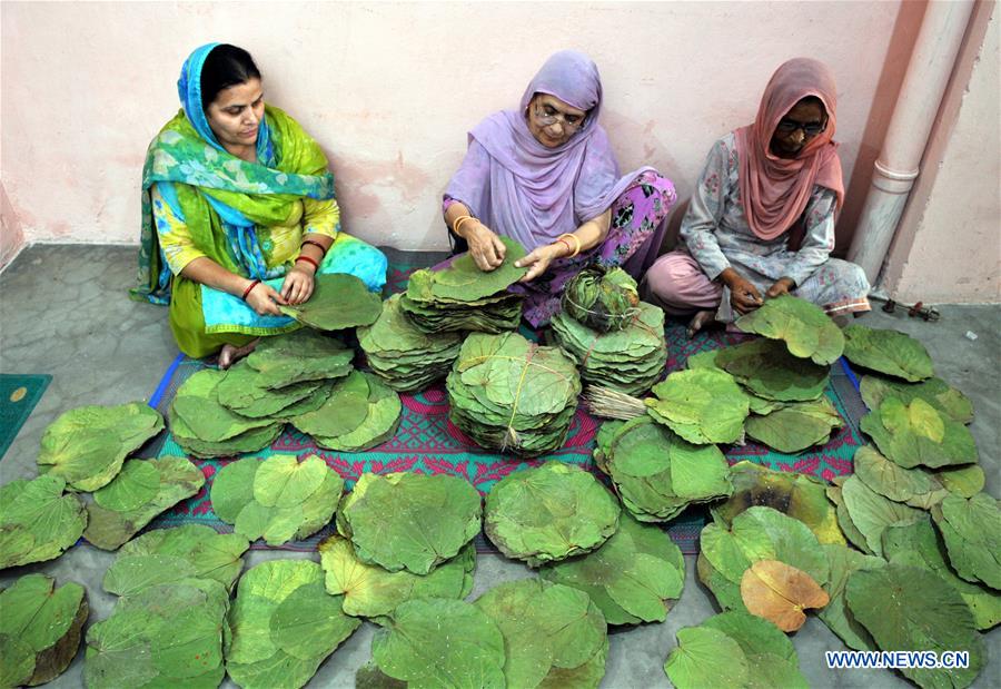 KASHMIR-JAMMU-LEAF PLATES