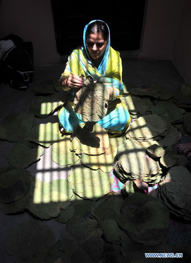 KASHMIR-JAMMU-LEAF PLATES