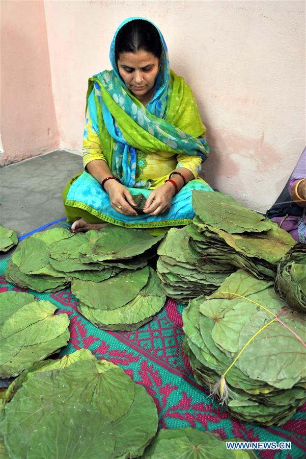 KASHMIR-JAMMU-LEAF PLATES