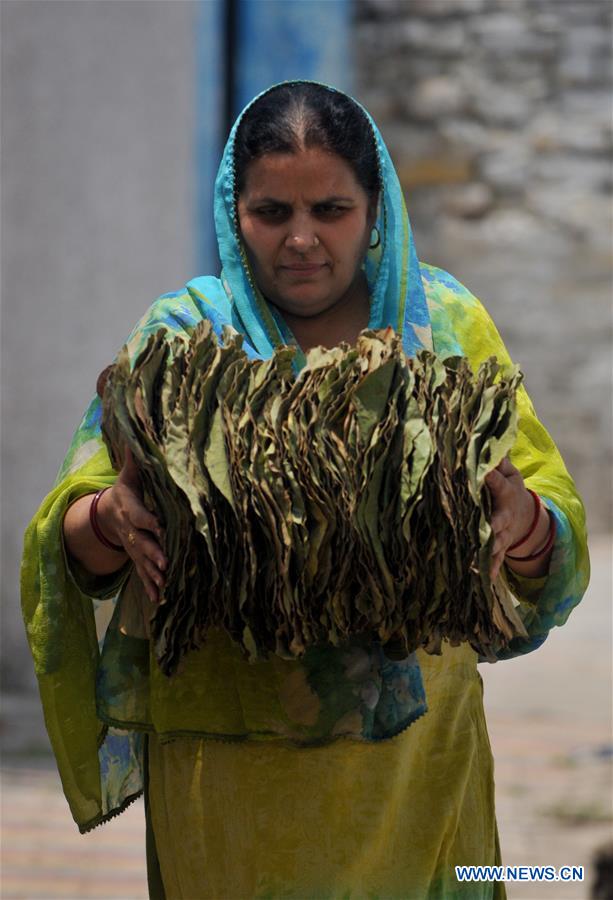 KASHMIR-JAMMU-LEAF PLATES