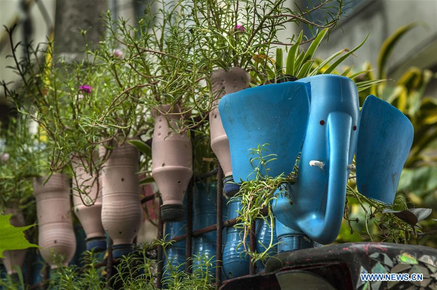 INDIA-KOLKATA-GARDEN-REUSED WASTE