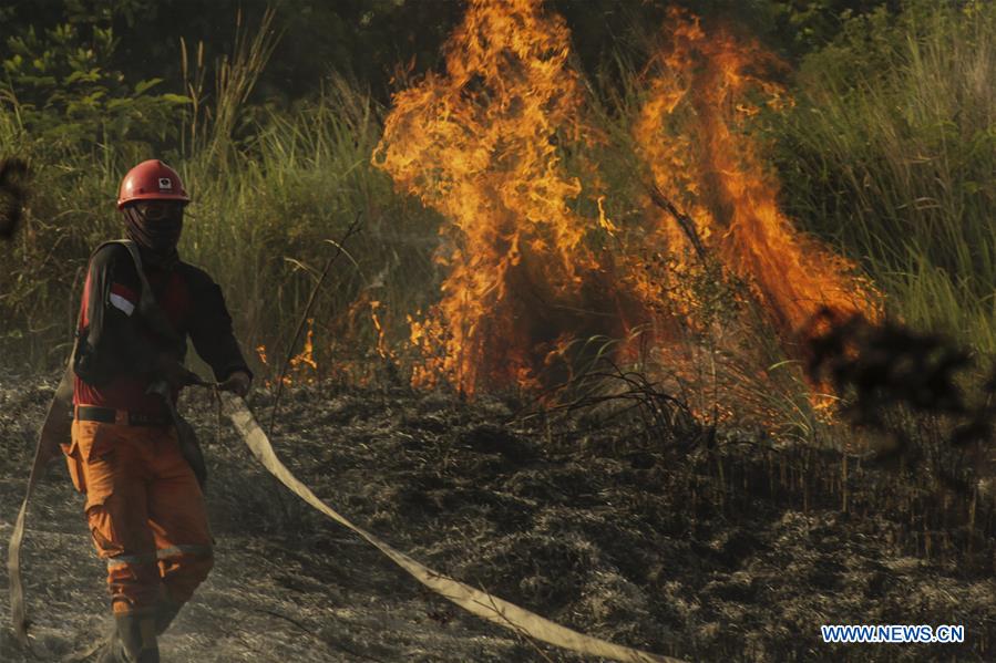 INDONESIA-RIAU-PEATLAND FIRE