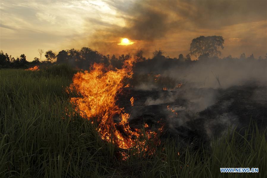 INDONESIA-RIAU-PEATLAND FIRE