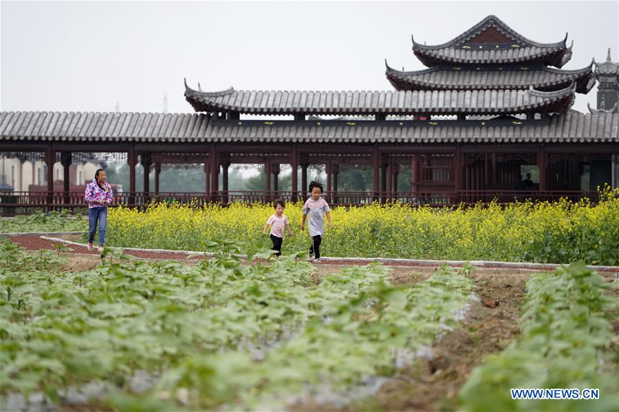 CHINA-HEBEI-AGRICULTURE-TOURISM (CN)