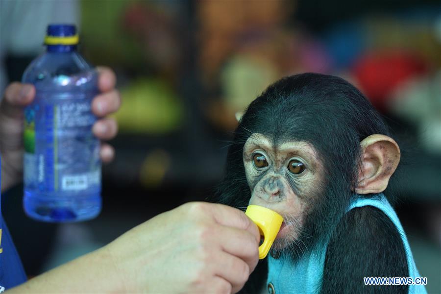 THAILAND-SAMUT PRAKARN-TOURISM-ZOO