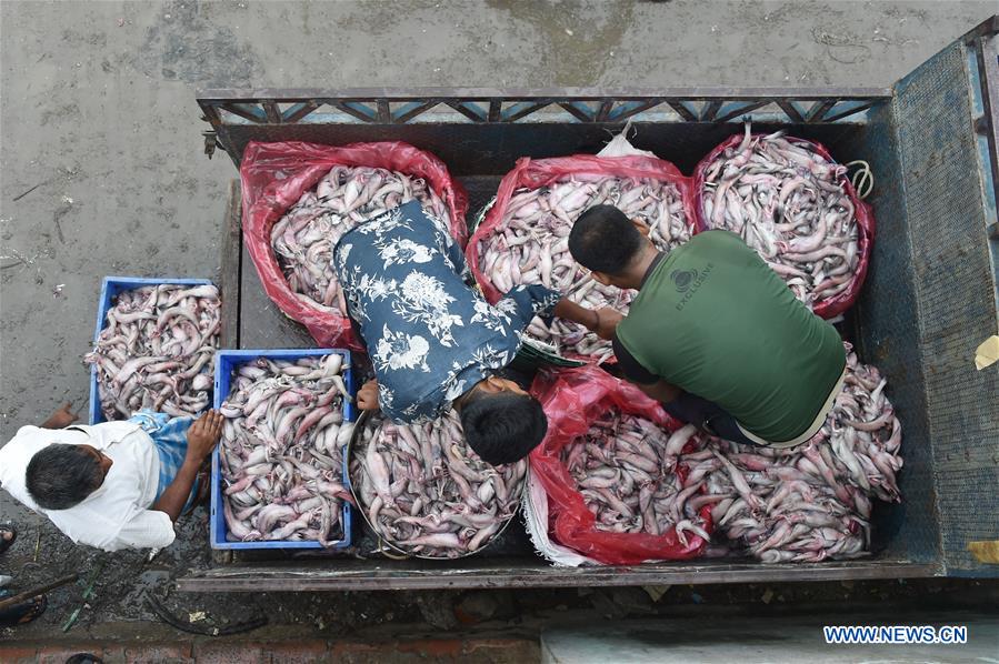 BANGLADESH-CHITTAGONG-FISH MARKET