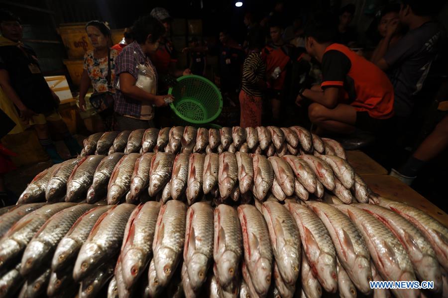 MYANMAR-YANGON-FISH MARKET