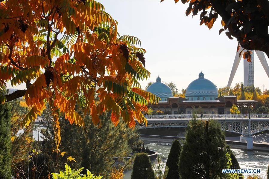 UZBEKISTAN-TASHKENT-AUTUMN