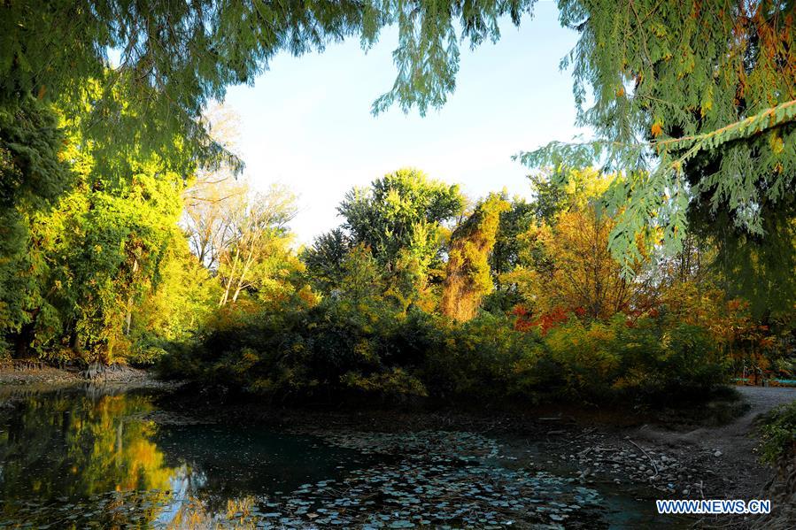 UZBEKISTAN-TASHKENT-AUTUMN