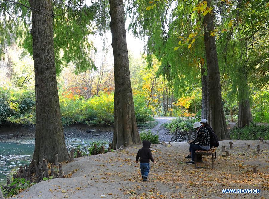 UZBEKISTAN-TASHKENT-AUTUMN