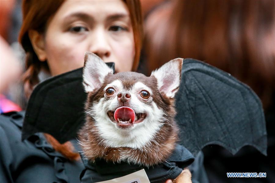 PHILIPPINES-QUEZON CITY-HALLOWEEN-CELEBRATION
