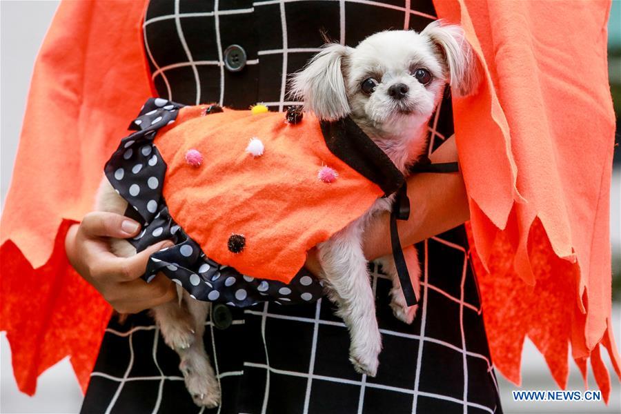 PHILIPPINES-QUEZON CITY-HALLOWEEN-CELEBRATION