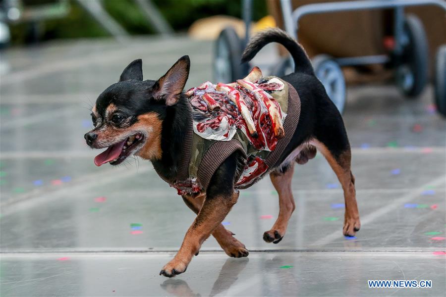 PHILIPPINES-QUEZON CITY-HALLOWEEN-CELEBRATION