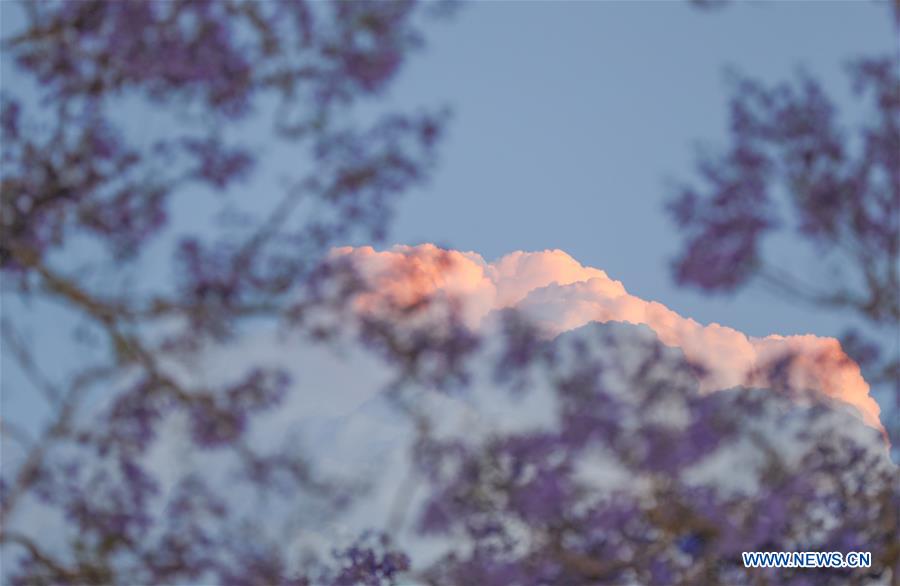 AUSTRALIA-SYDNEY-SCENERY