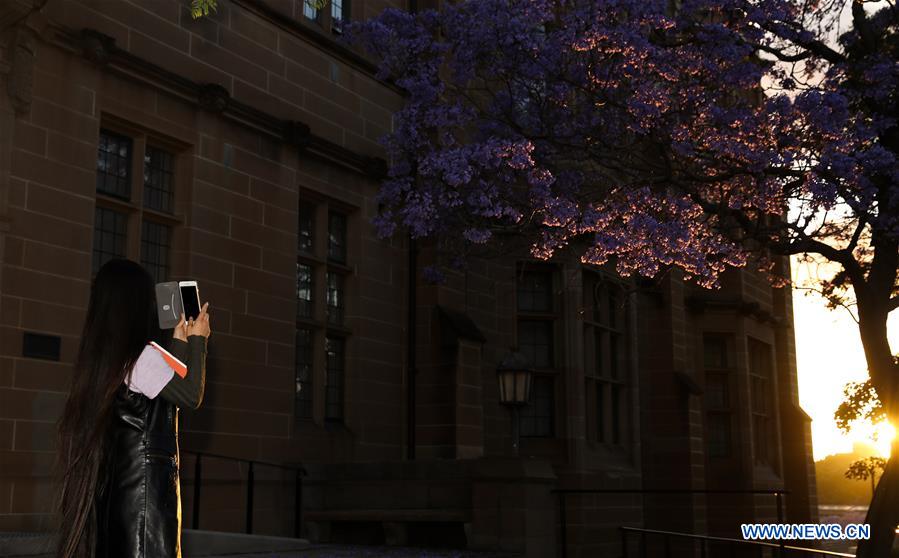 AUSTRALIA-SYDNEY-SCENERY