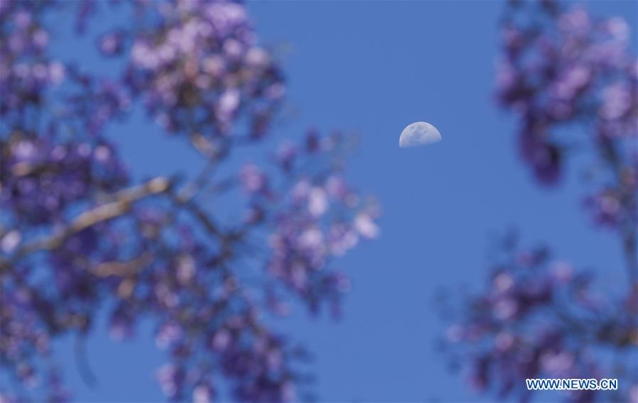 AUSTRALIA-SYDNEY-SCENERY