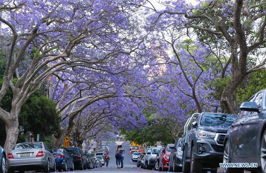 AUSTRALIA-SYDNEY-SCENERY