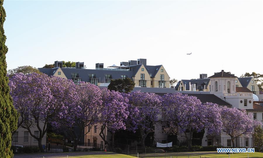 AUSTRALIA-SYDNEY-SCENERY