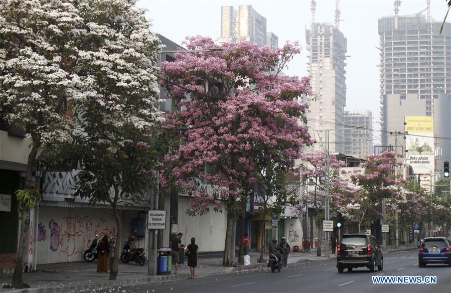 INDONESIA-SURABAYA-FLOWERS
