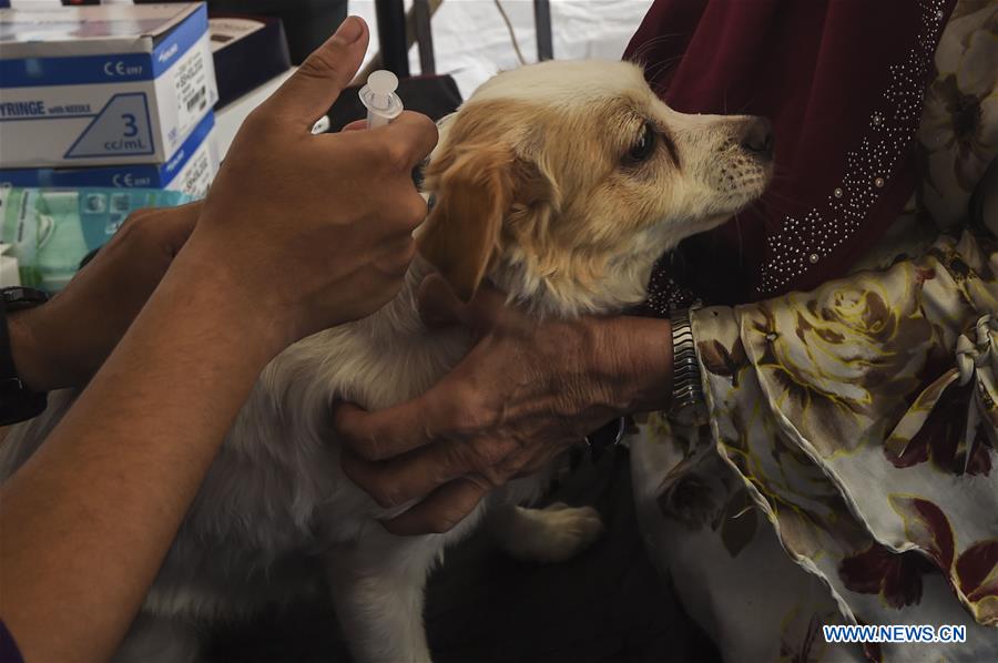 free dog vaccinations 2019