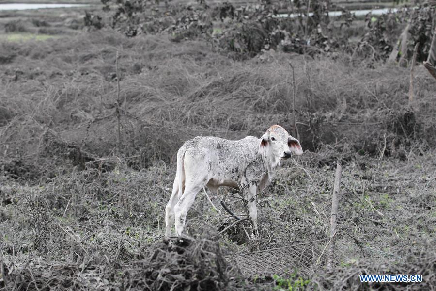 PHILIPPINES-TAAL VOLCANO-ASH AND MUD