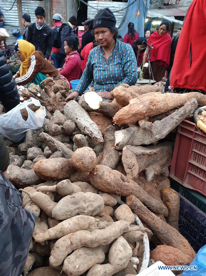 NEPAL-KATHMANDU-MAGHE SANKRANTI FESTIVAL-YAM