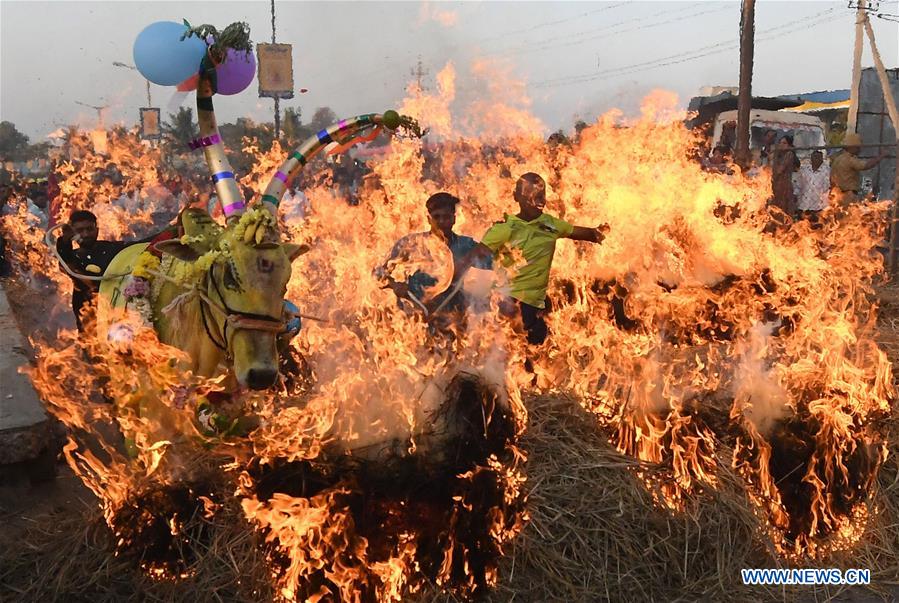 INDIA-BANGALORE-MAKAR SANKRANTI FESTIVAL