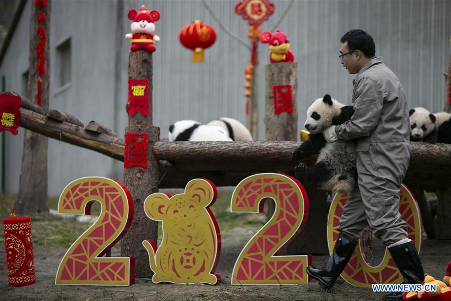 CHINA-SICHUAN-WOLONG-PANDA (CN)