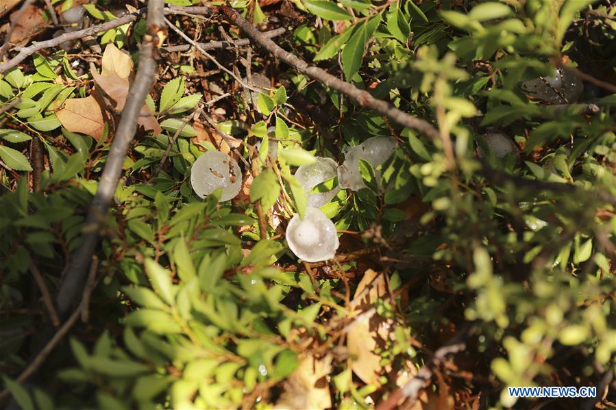 AUSTRALIA-CANBERRA-HAILSTONES-DAMAGE