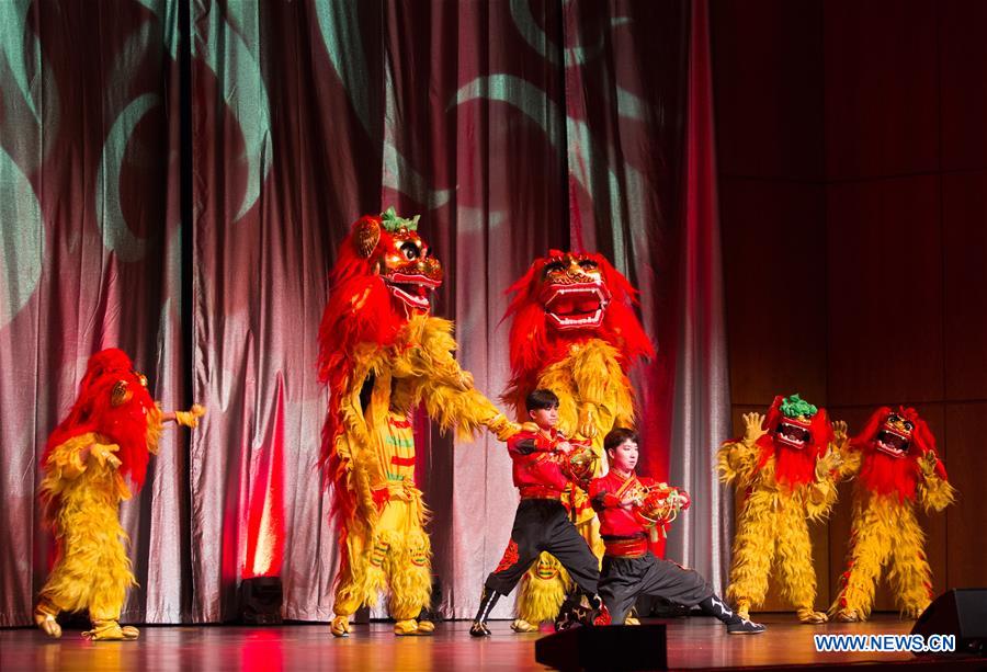 GERMANY-MANNHEIM-CHINESE LUNAR NEW YEAR-CELEBRATIONS