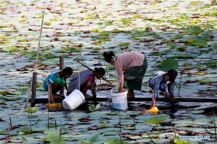 MYANMAR-YANGON-WORLD WATER DAY