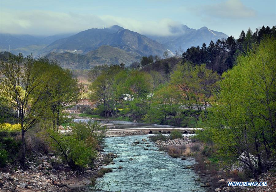CHINA-HENAN-HUANGBAI MOUNTAIN-SCENERY (CN)