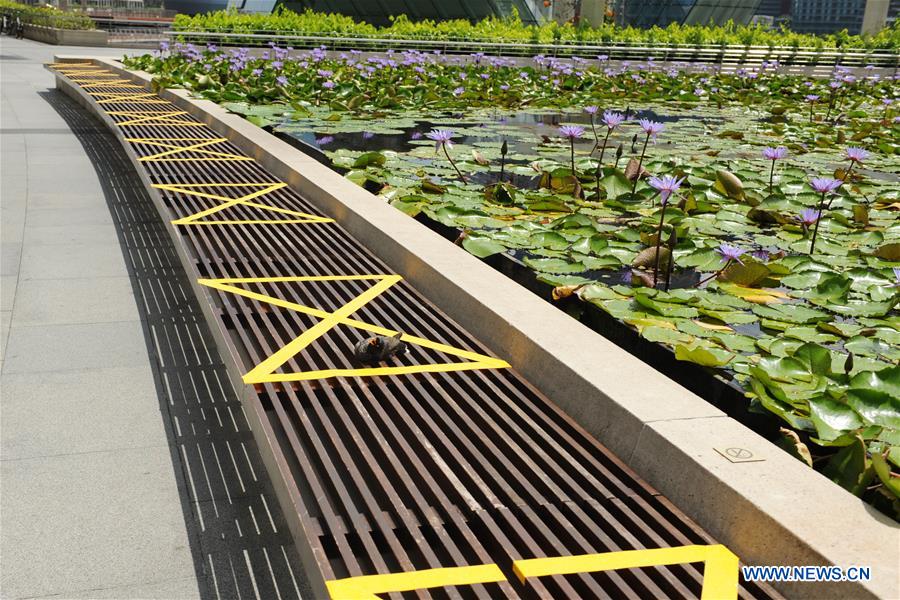 SINGAPORE-COVID-19-MEASURES