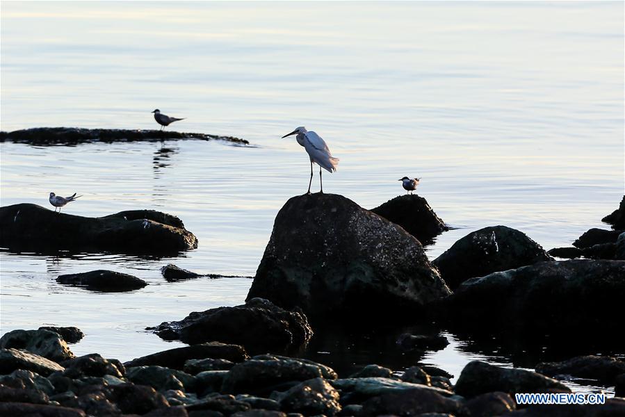 THE PHILIPPINES-MANILA-PASAY CITY-SUNSET