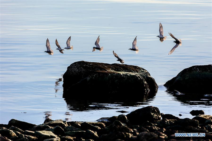 THE PHILIPPINES-MANILA-PASAY CITY-SUNSET