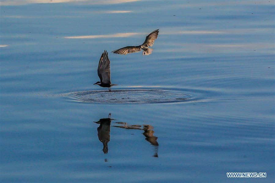 THE PHILIPPINES-MANILA-PASAY CITY-SUNSET