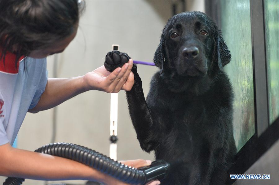 THAILAND-BANGKOK-COVID-19-PET GROOMING SERVICE-REOPEN