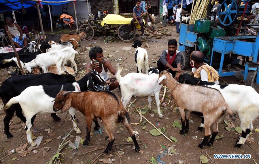 E-Commerce In India Now Includes Goat Sales