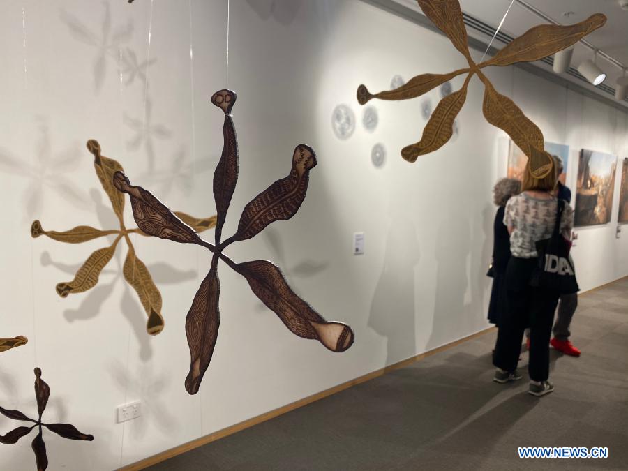 Art exhibition on nature, love illustrated by crosscultural women