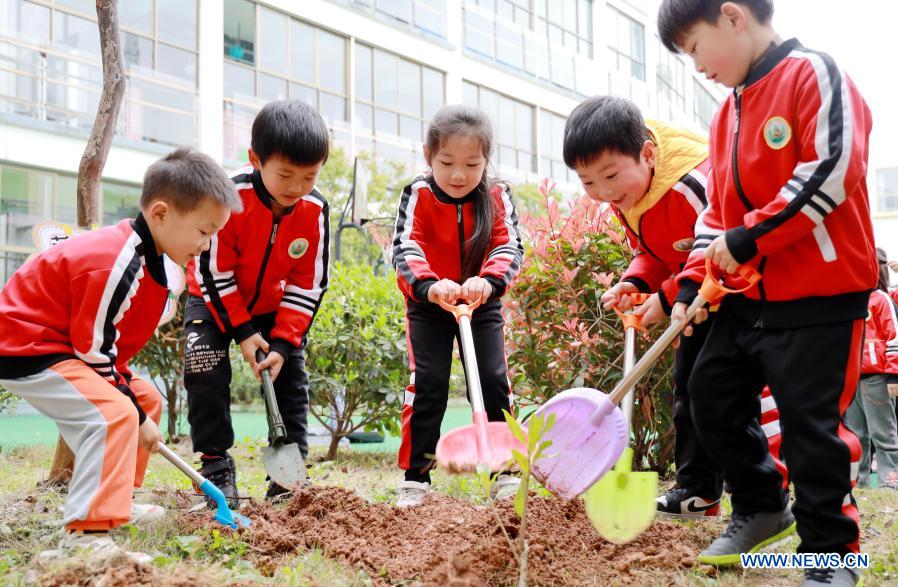 National Tree Planting Day marked in China Xinhua English.news.cn