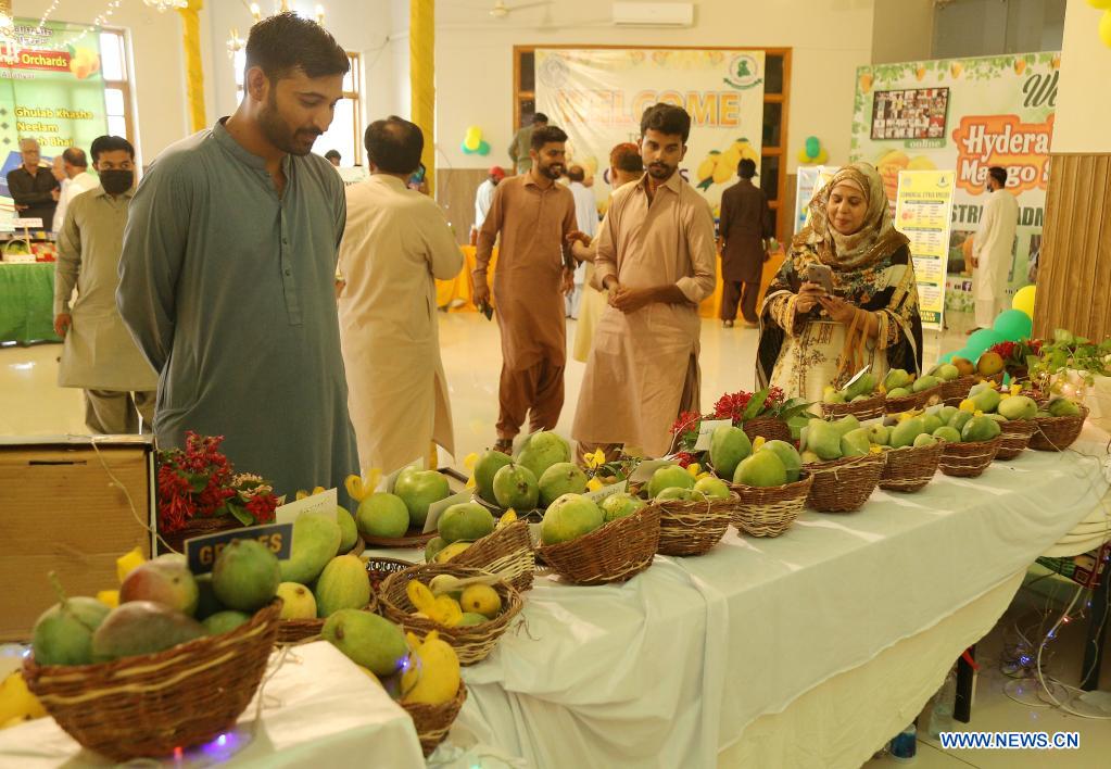 Mango show held in Hyderabad, Pakistan Xinhua English.news.cn