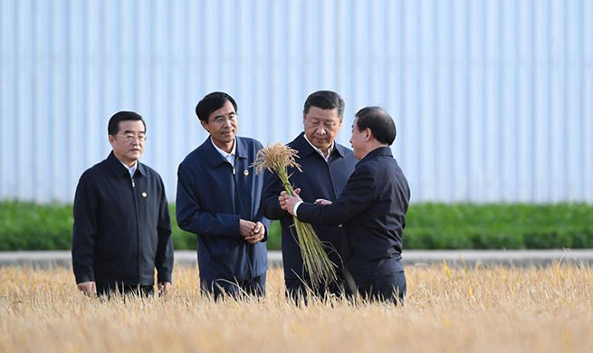 Chinese President Xi Jinping inspects Heilongjiang