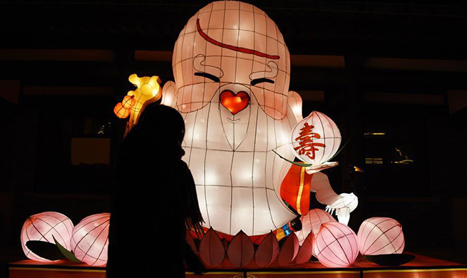 Fancy lanterns displayed in Linyi to greet upcoming Lantern Festival