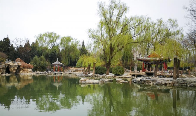 Spring scenery in Beijing